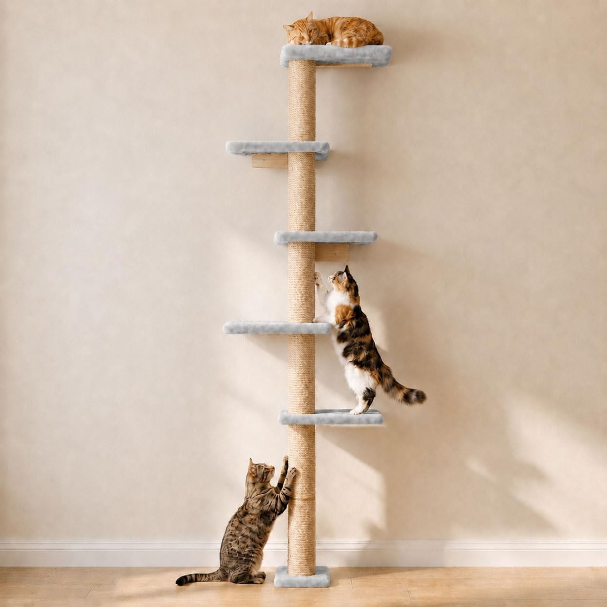 AGYM 80-Inch Wall-Mounted Cat Tree with 5 Perches