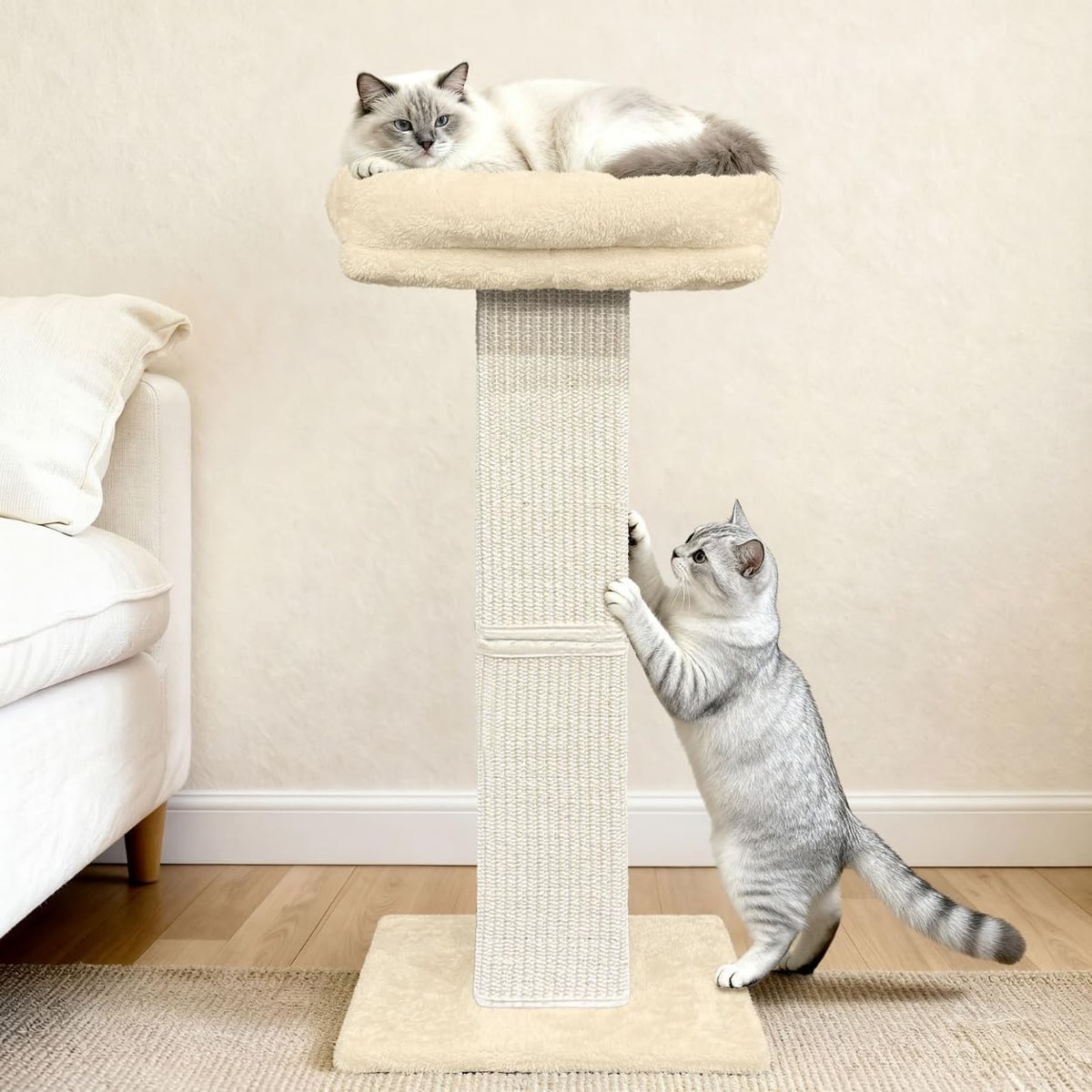 AGYM Scratching Post with Elevated Bed and 10 Springs — photo 6